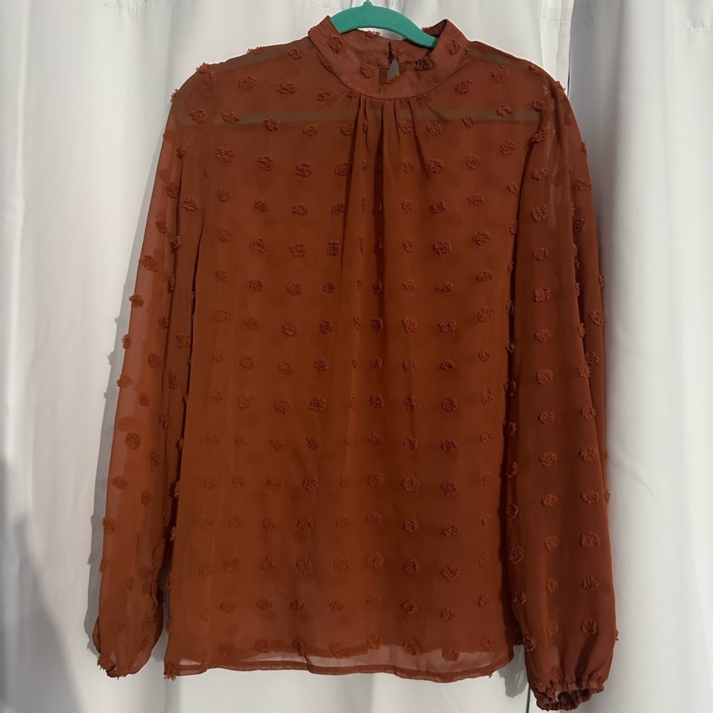 Rust Sheer Blouse